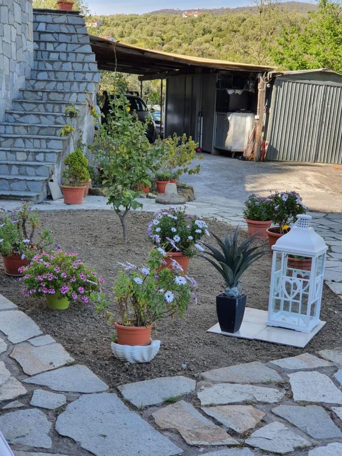 Casa Intera Indipendente Con Giardino Privato Villa Империа Екстериор снимка